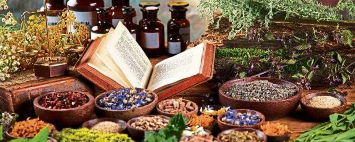 Top 50 Ayurvedic Manufacturers in Gujarat