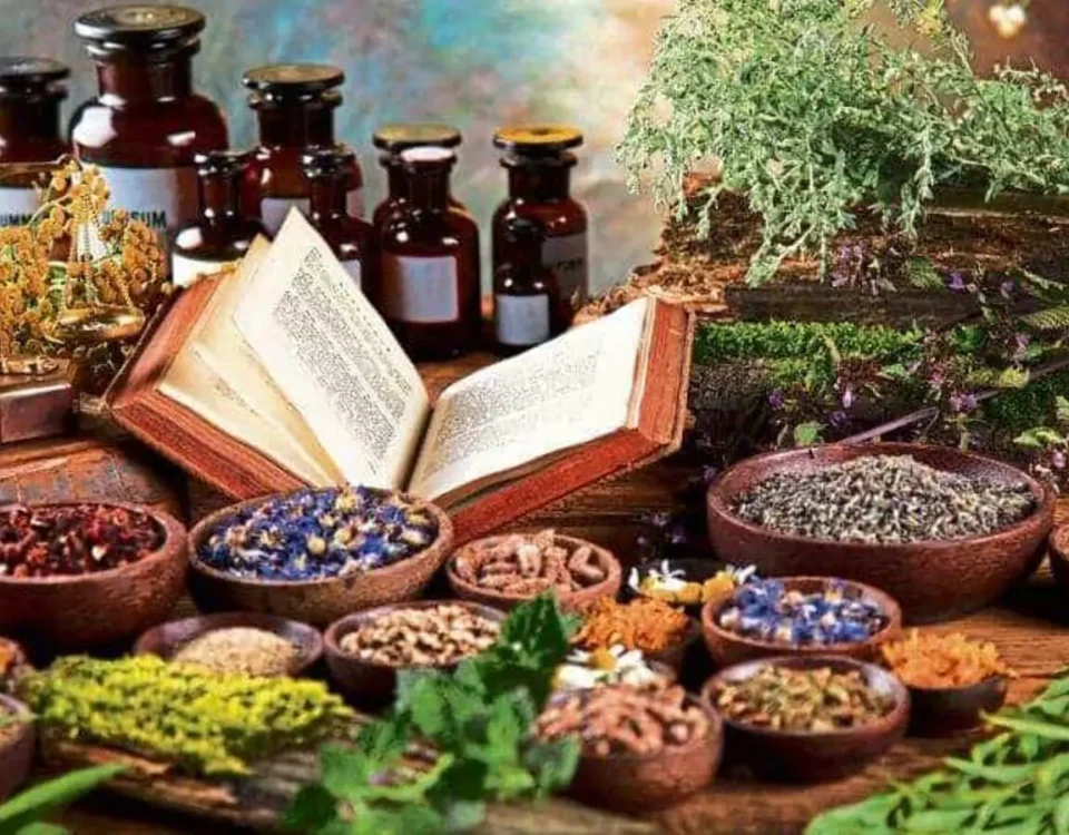 Top 50 Ayurvedic Manufacturers in Gujarat
