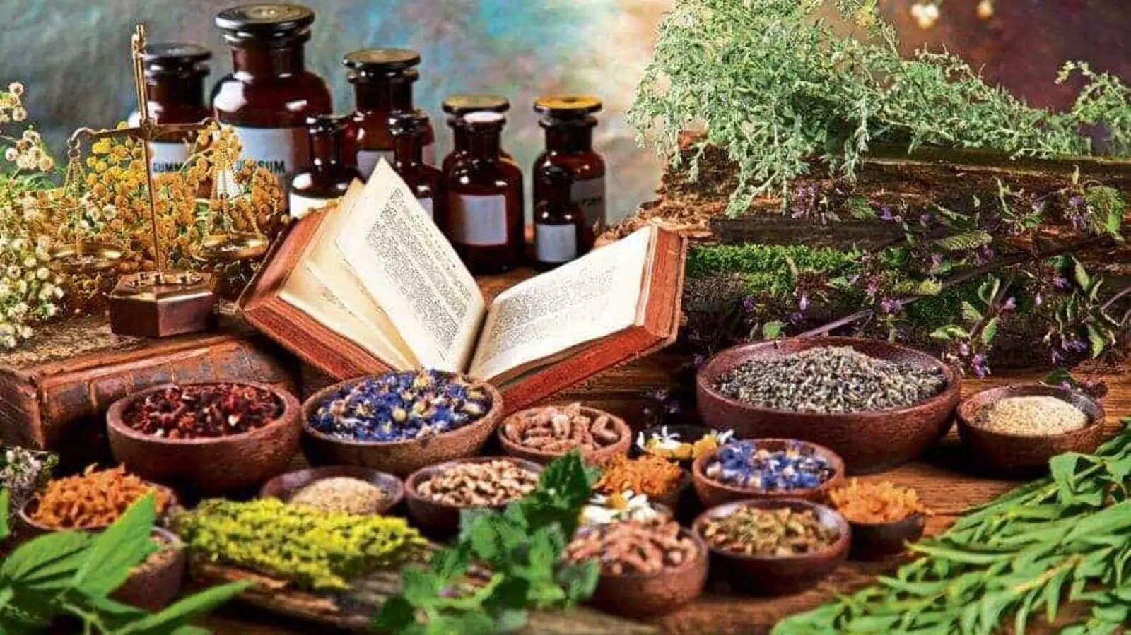 Top 50 Ayurvedic Manufacturers in Gujarat