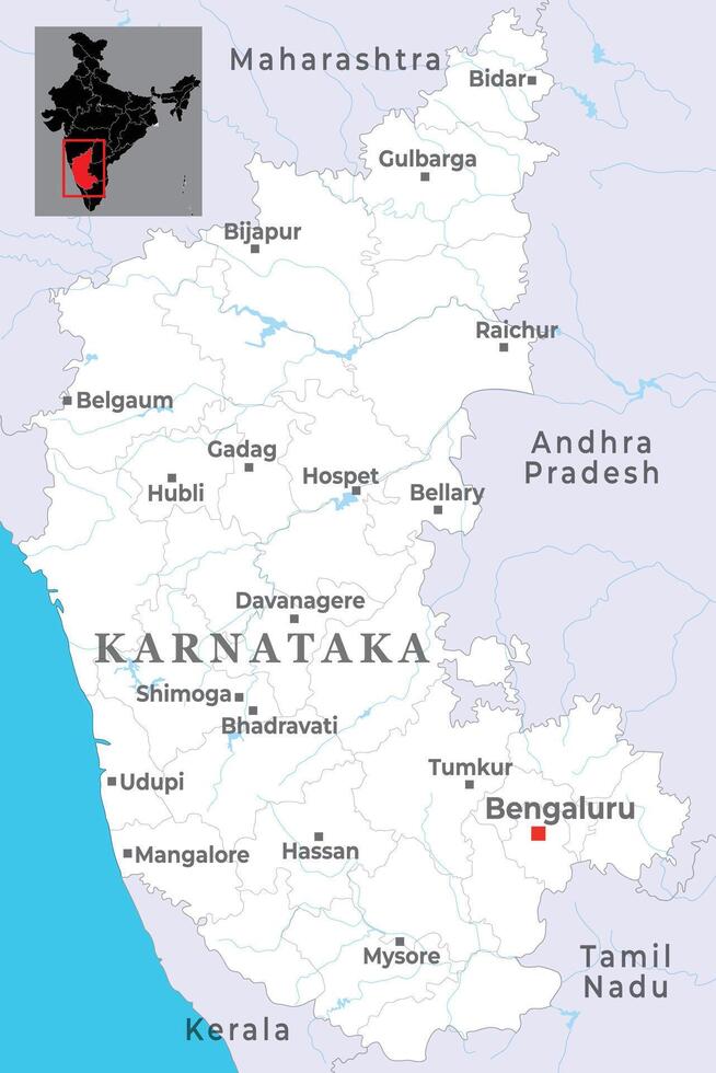 Softgel Capsules Manufacturer in Karnataka